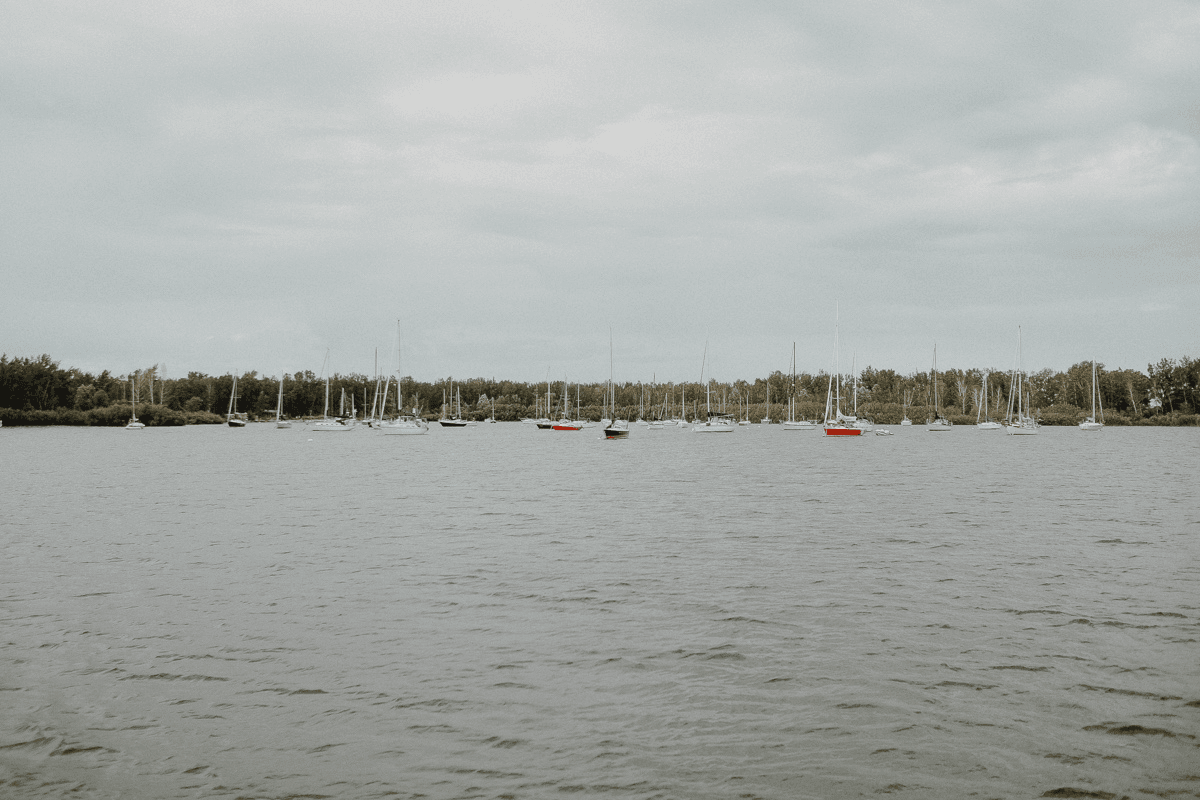 Blog